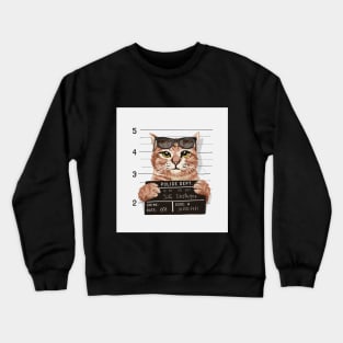 Funny cat got arreseted Crewneck Sweatshirt